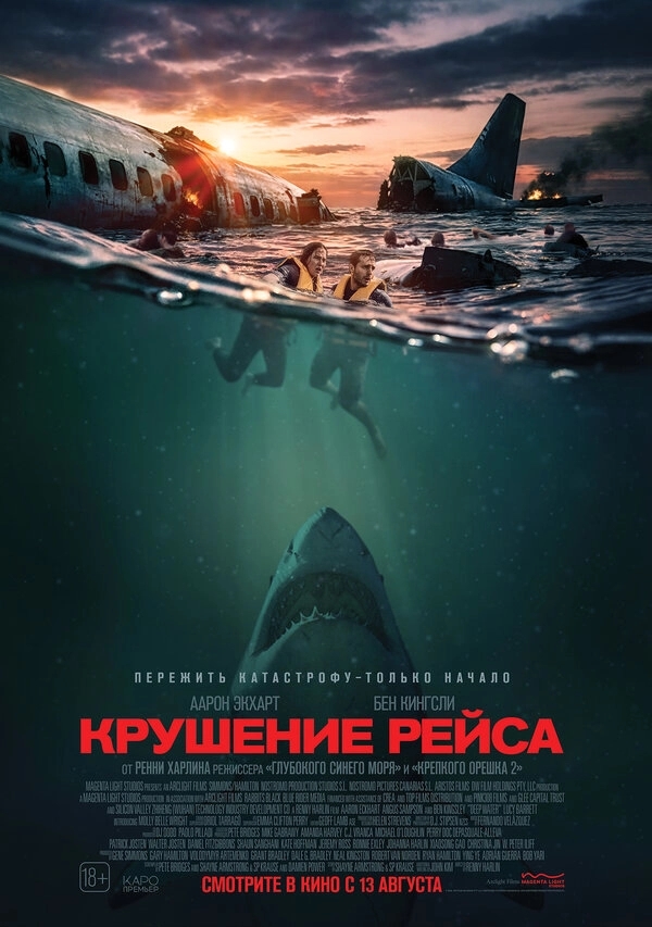 Крушение рейса бесплатно